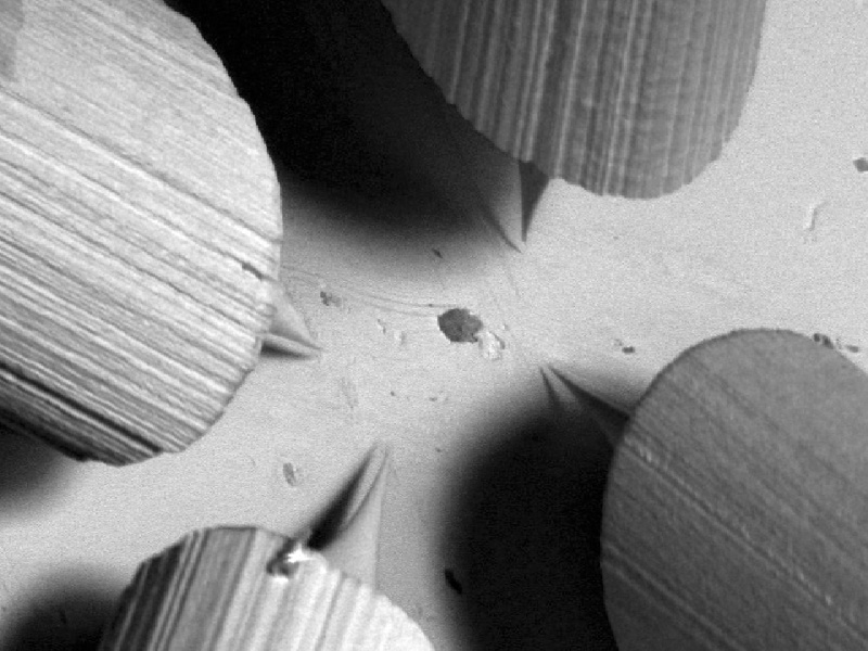 SEM / SPM / STM / In-situ / UHV / Probe positioning / Nanowires / Resistivity measurements